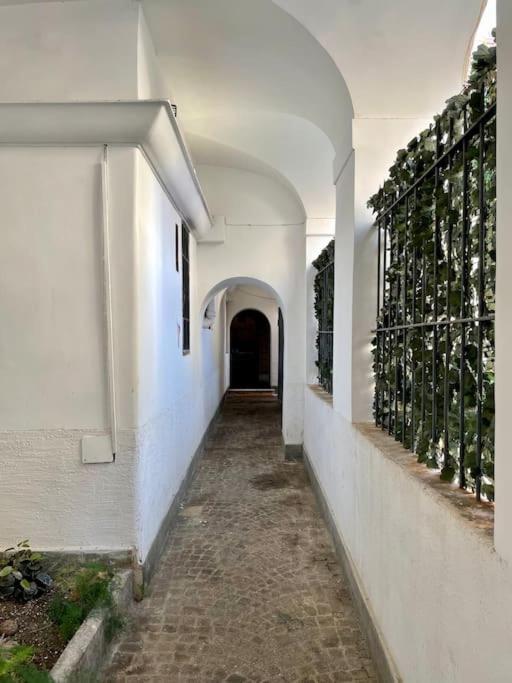 Lovely Apartment In Via Della Scala, Trastevere Рим Экстерьер фото
